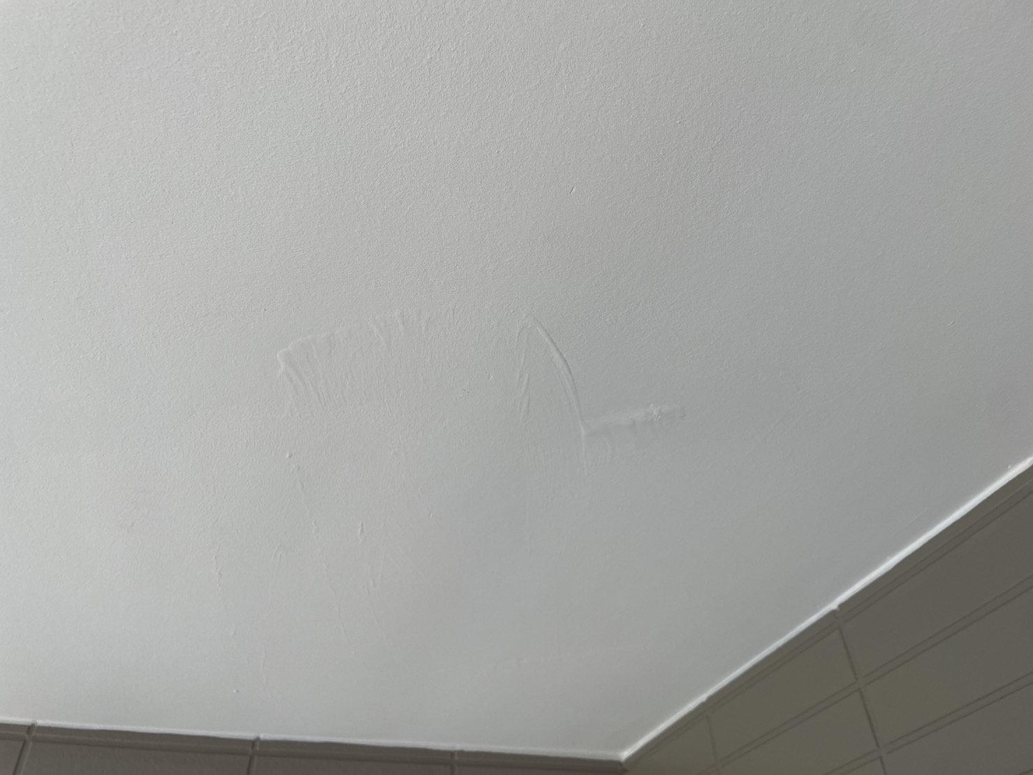 天井の跡かた