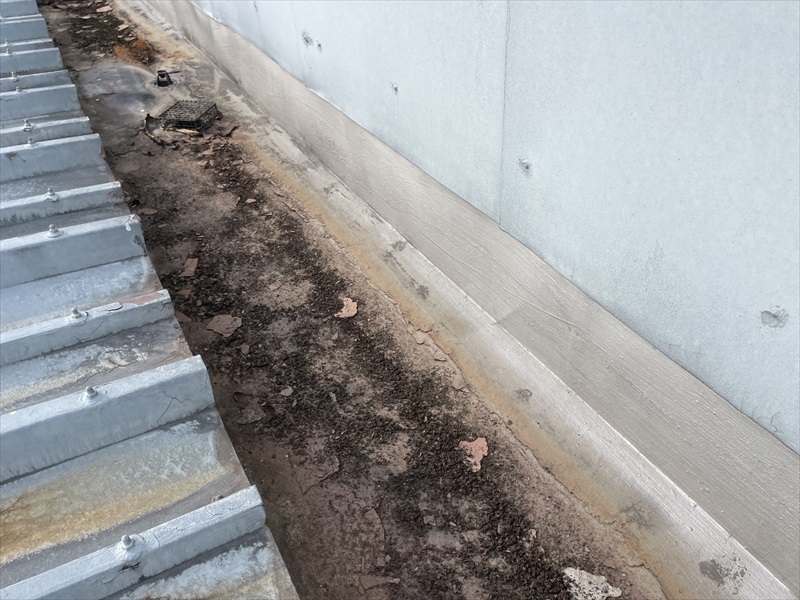 屋根のドレンの中