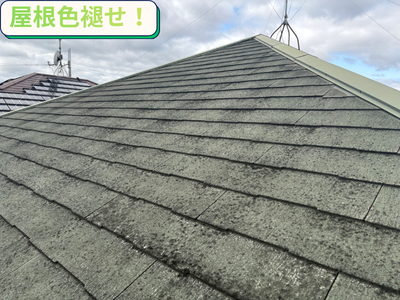 屋根現状