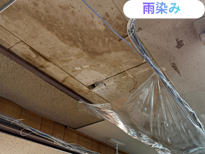 天井雨漏り