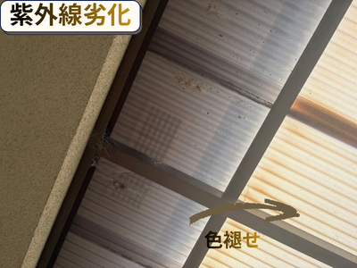 波板現状