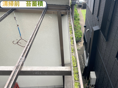 清掃前　苔蓄積