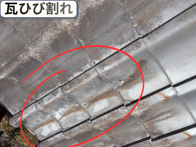 大屋根ひび割れ
