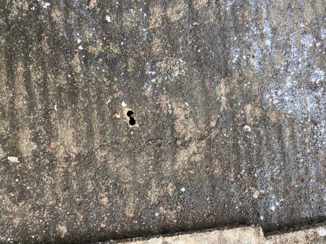 屋根雨漏れカバー工法