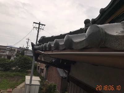 屋根の健康診断での雨樋の様子