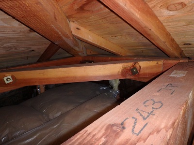 雨漏れしてしまっている屋根裏