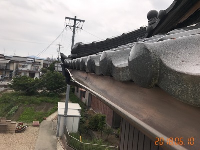 屋根の健康診断での雨樋の様子