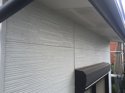 外壁調査の様子