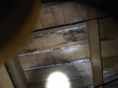 雨漏れが起きているお宅の屋根裏の写真
