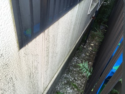 隣の家との間の狭い空間にコケが発生している状態