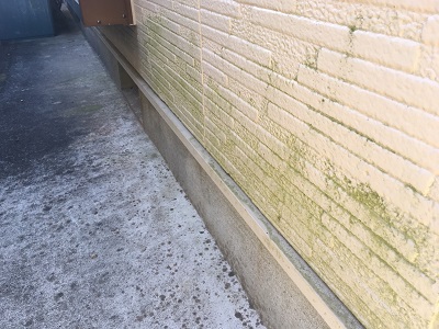 外壁に苔が生えてしまっている状態