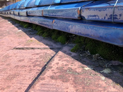 台風の影響で天井に雨染みができた屋根の様子