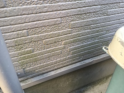 外壁に苔が生えてしまっている状態