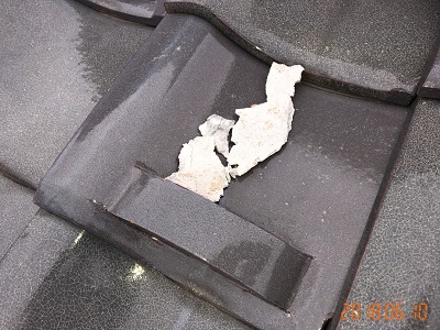 屋根の健康診断での大屋根の様子