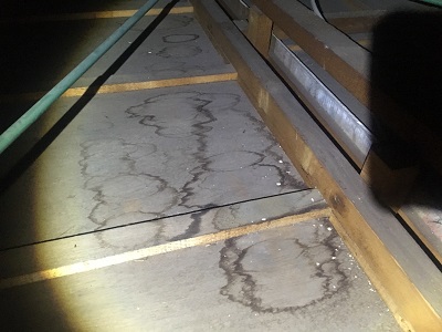 台風の影響で天井に雨染みができた小屋裏の様子