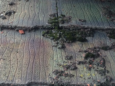 スレート屋根　コケ