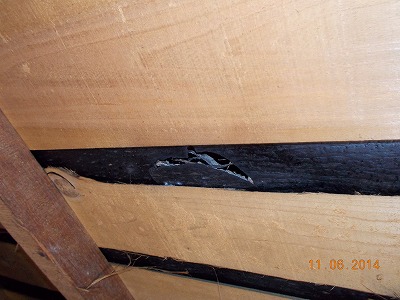 小屋裏から見た防水シートの破れ