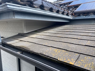 苔が生えてしまったカラーベスト