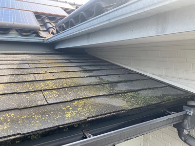 苔が生えてしまったカラーベスト