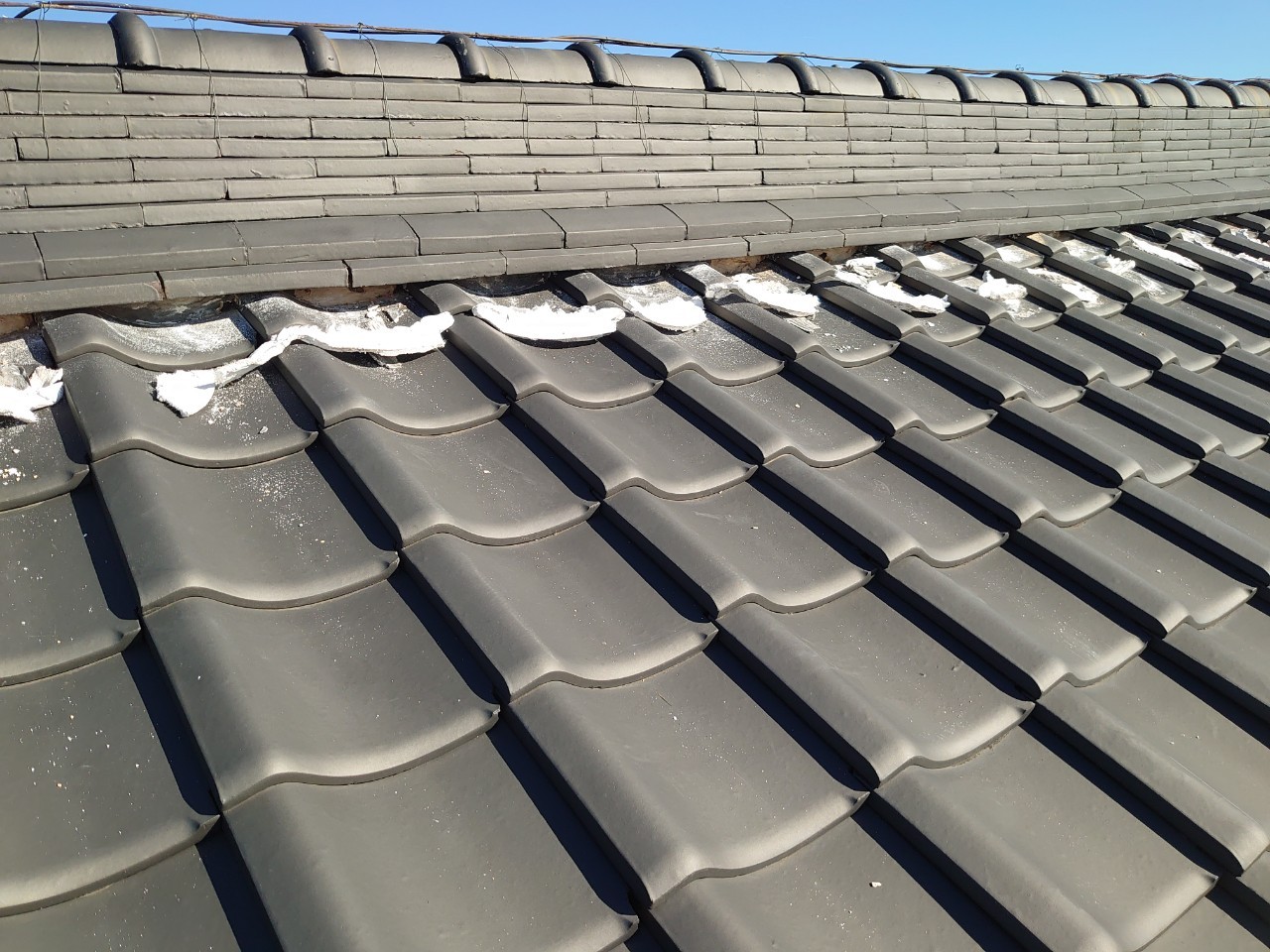 大屋根　施工中