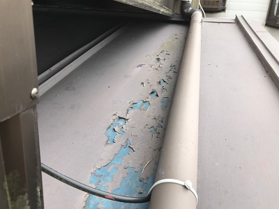 現地調査　屋根