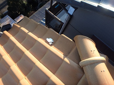 漆喰のはがれがあるお宅の屋根診断の様子