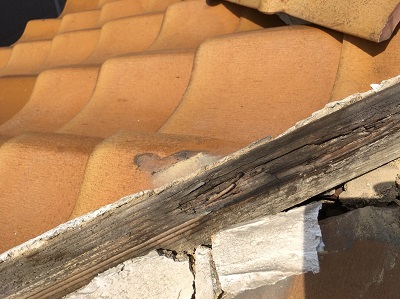 棟をめくったところ　垂木の劣化