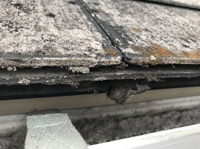 スレート屋根　苔　劣化