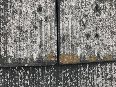 スレート屋根　苔　劣化