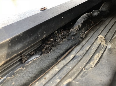 明り取りまわりの雨漏りの原因　鳥の糞