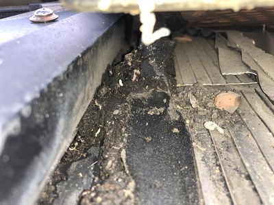 明り取りまわりの雨漏りの原因　鳥の糞