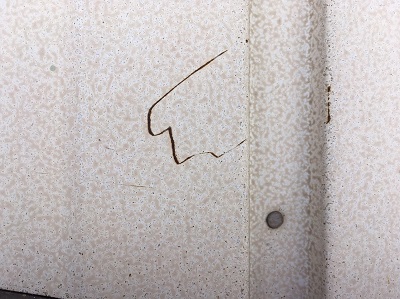 錆びてしまったトタン壁