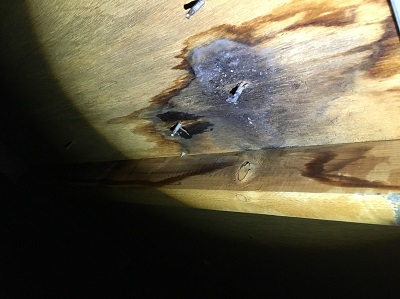 屋根裏　雨漏り　現状