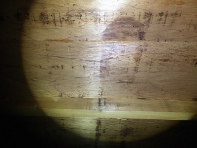 屋根裏　雨漏り　現状