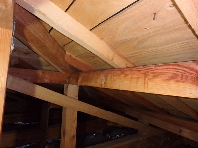 雨漏れの可能性がある屋根裏の調査