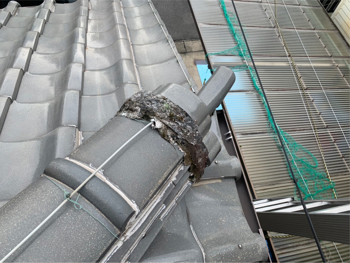 千切れたシーリングと苔むした漆喰