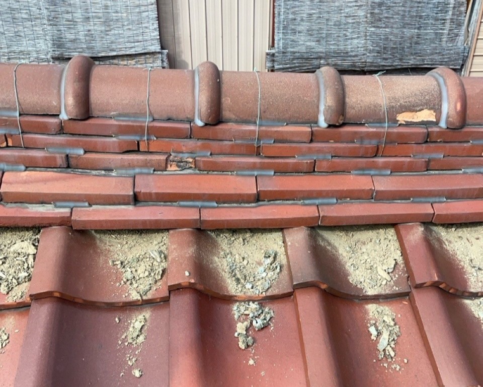 2025.10.6　漆喰　施工中2