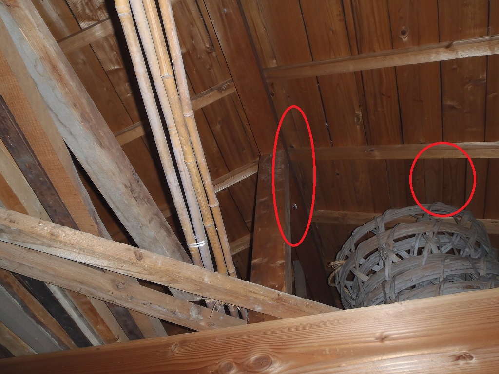 天井シミ　高槻市