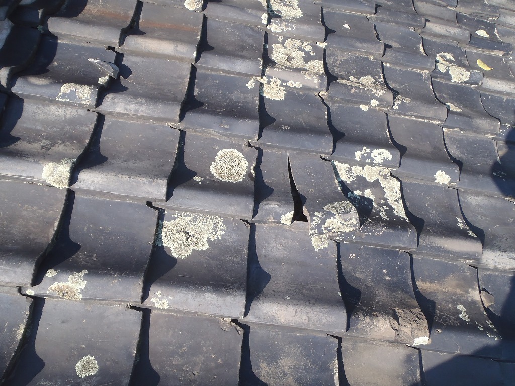 瓦割れ　高槻市