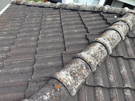 モニエル瓦隅棟下瓦ズレ