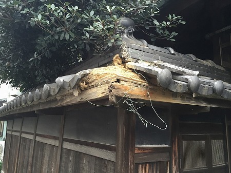 塀のコーナーの部分の瓦壊れています。