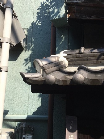 塀瓦の劣化してたところを漆喰で補修