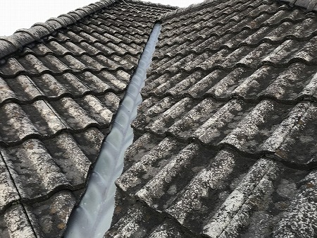 モニエル瓦の塗膜が褪せています。