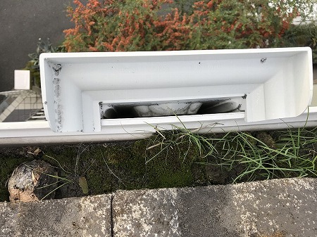 集水口には草木も生えています。