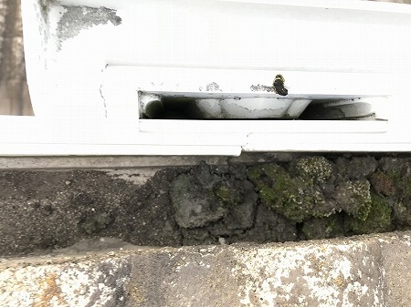 集水口に汚泥が溜まって流れません。