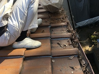 落ち葉掃除枚方市