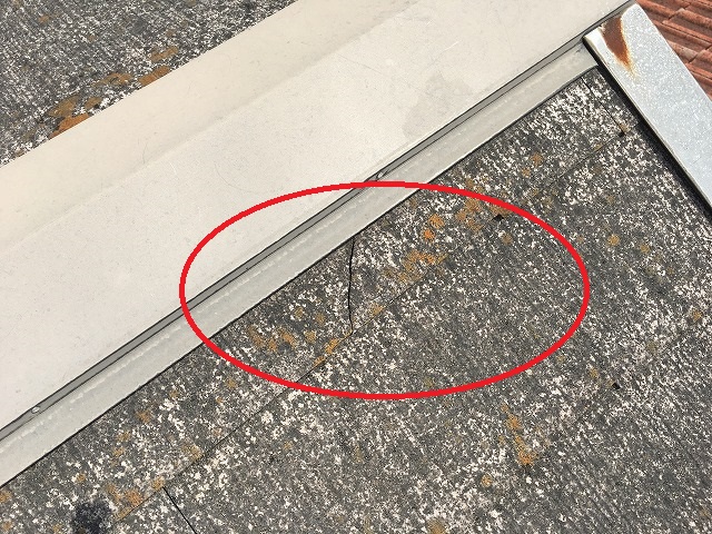 表面コケ　枚方市