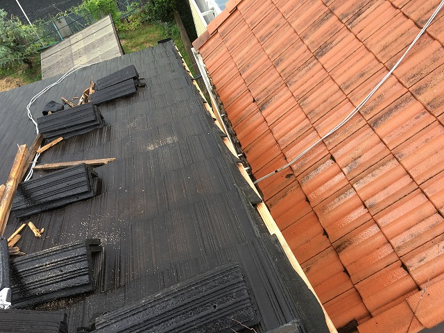 淀木　四條畷市