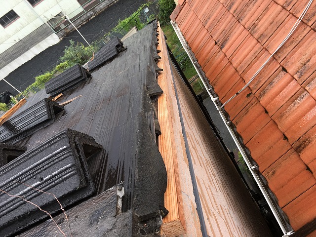 淀木　四條畷市