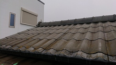 ニューウェーブⅡが葺かれています。